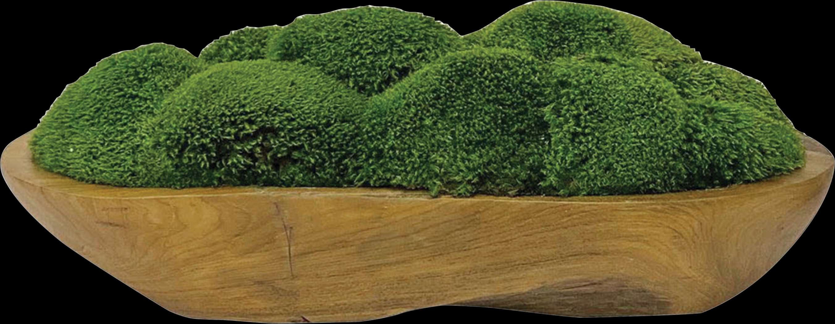 Niris Brown Decorative Plant - Thumbnail - Image 1