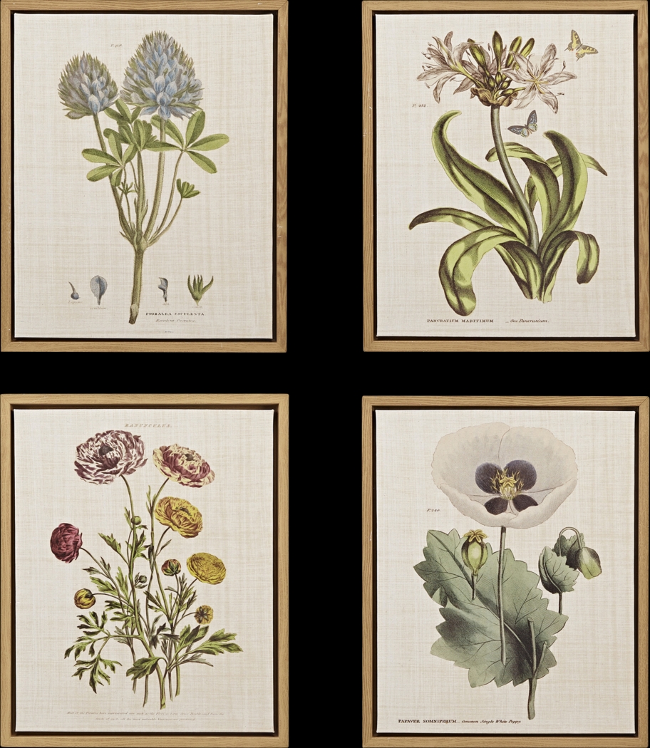 Nucham Green Artwork, Set of 4 - Thumbnail - Image 1