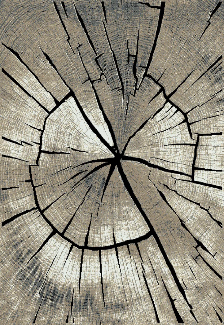 Oakham Gray 5' x 7'3 Rug - Thumbnail - Image 1