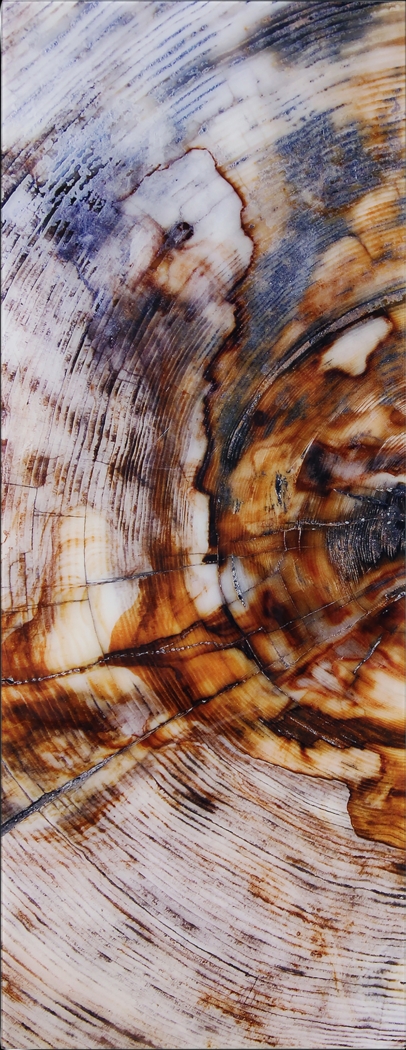 Obeche I Multi Artwork - Thumbnail - Image 7