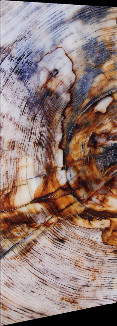 Obeche I Multi Artwork - Thumbnail - Image 8