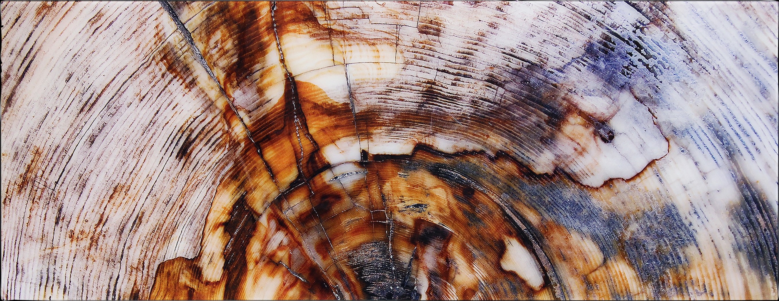 Obeche I Multi Artwork - Thumbnail - Image 1