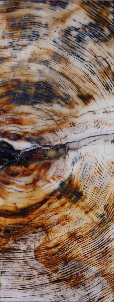 Obeche II Multi Artwork - Thumbnail - Image 7