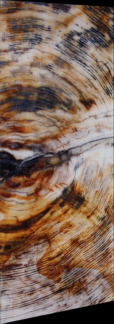 Obeche II Multi Artwork - Thumbnail - Image 8