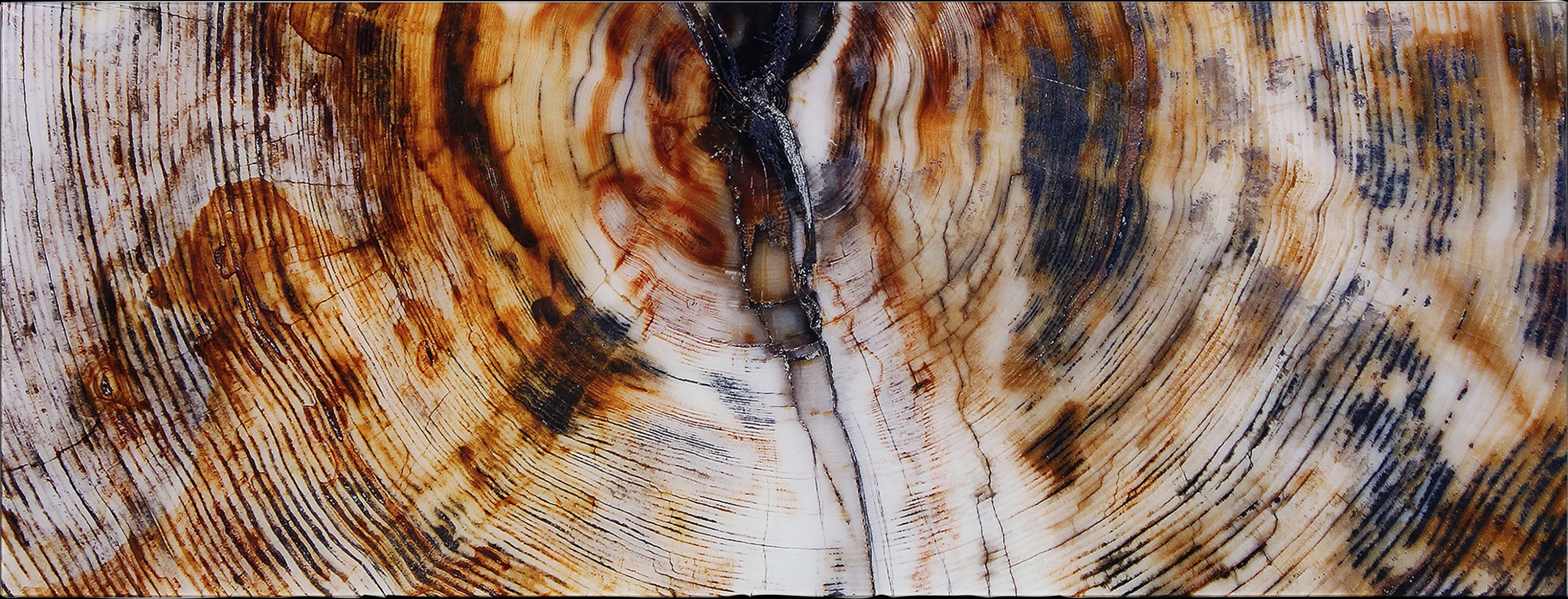 Obeche II Multi Artwork - Thumbnail - Image 1