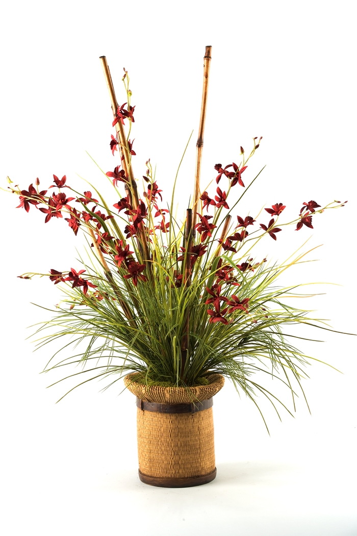 Orchids, Grass & Bamboo - Thumbnail - Image 1