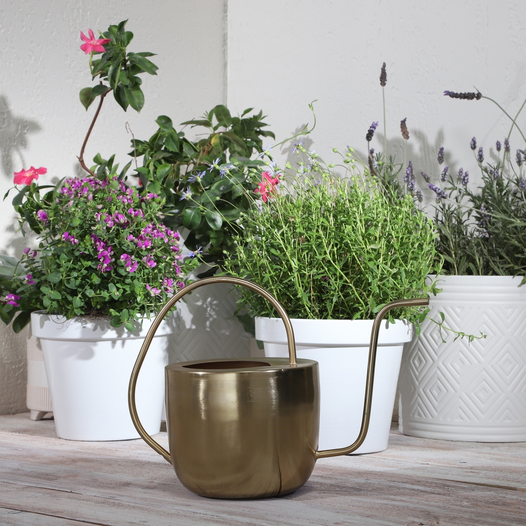 Orlon Gold Watering Can - Thumbnail - Image 2