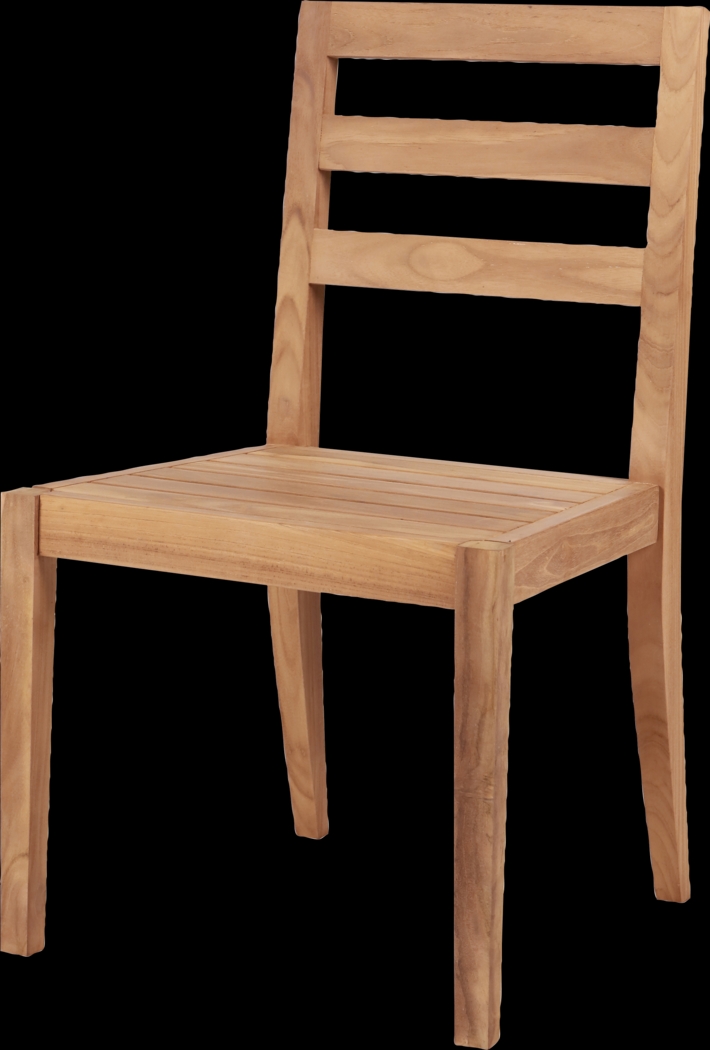 Outdoor Bacheller I Natural Dining Chair, Set of 2 - Thumbnail - Image 9