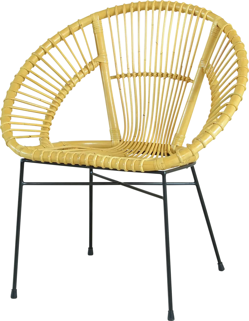Outdoor Caraselle Naural Accent Chair - Thumbnail - Image 1