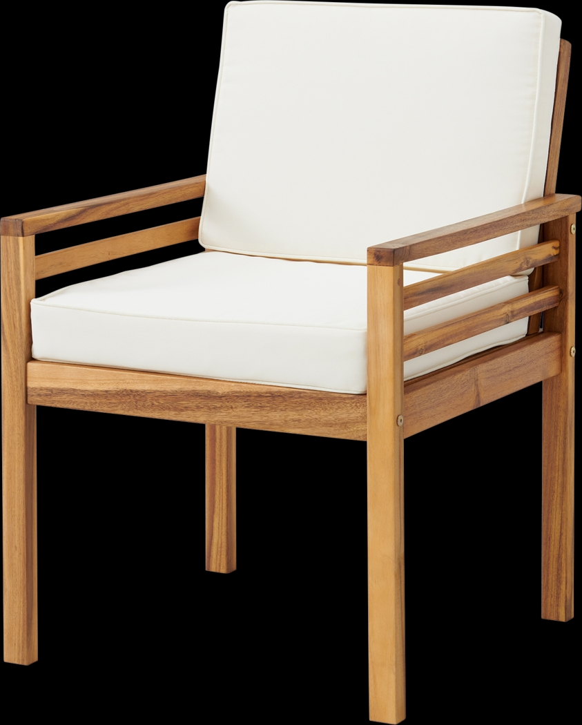 Outdoor Emeraud Brown Dining Chair - Thumbnail - Image 1
