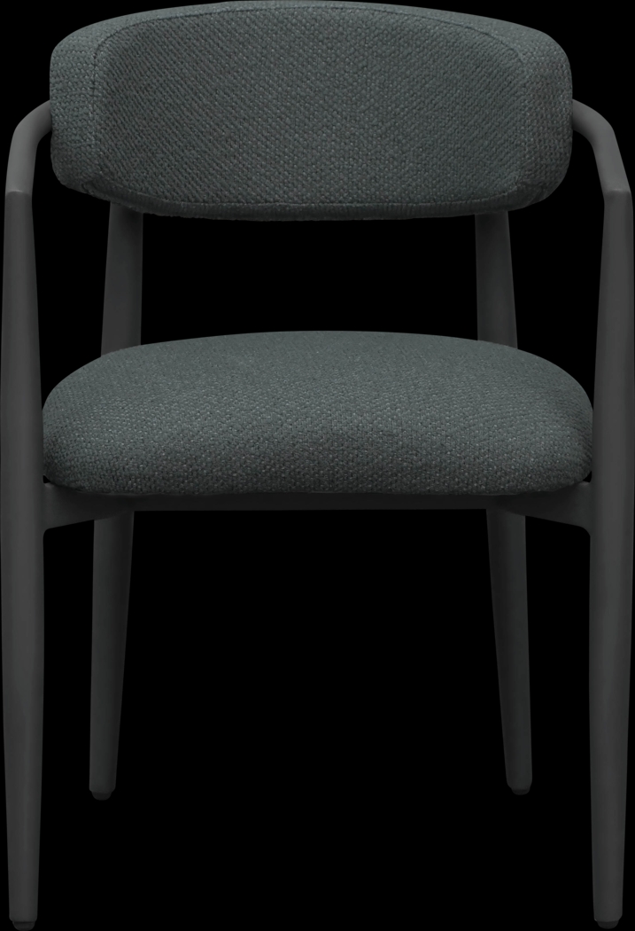 Outdoor Fryburg Black Arm Chair - Thumbnail - Image 2