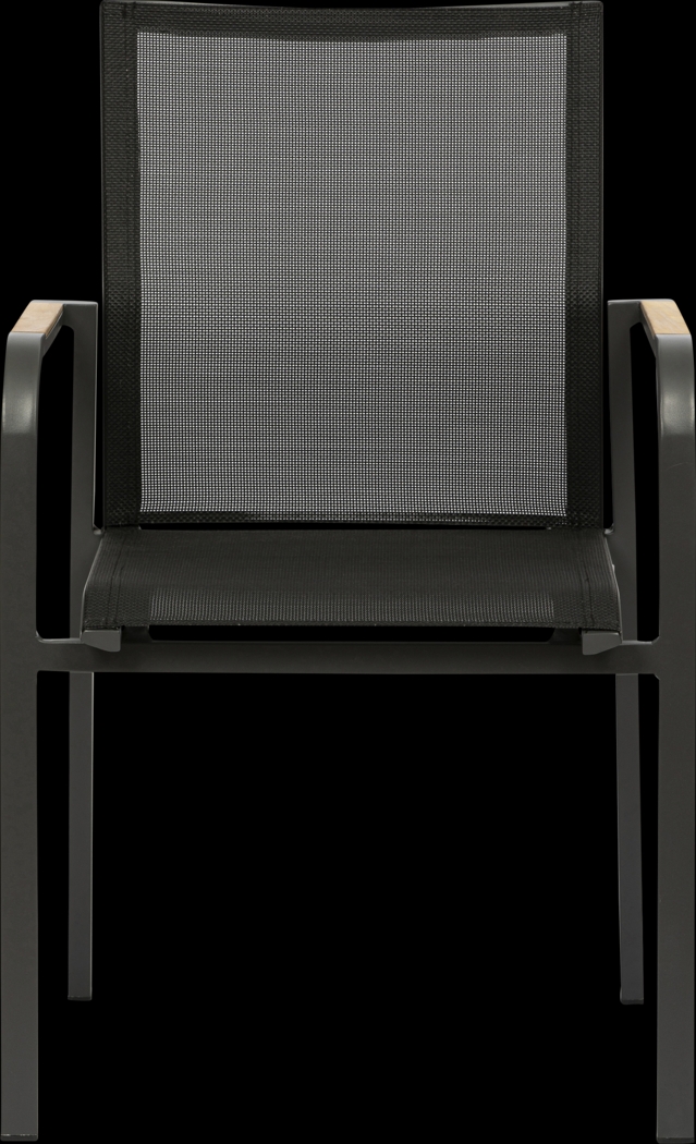 Outdoor Hollingshed Black Arm Chair, Set of 2 - Thumbnail - Image 2