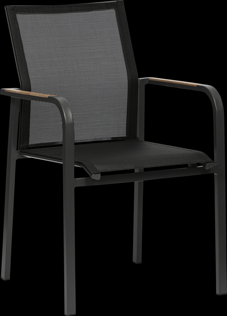 Outdoor Hollingshed Black Arm Chair, Set of 2 - Thumbnail - Image 3