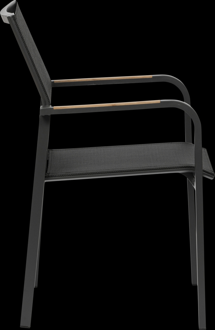 Outdoor Hollingshed Black Arm Chair, Set of 2 - Thumbnail - Image 4