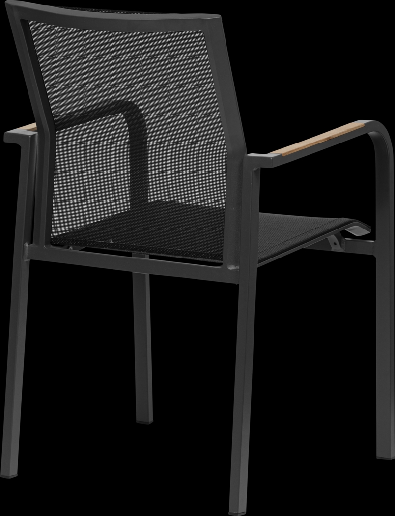 Outdoor Hollingshed Black Arm Chair, Set of 2 - Thumbnail - Image 5