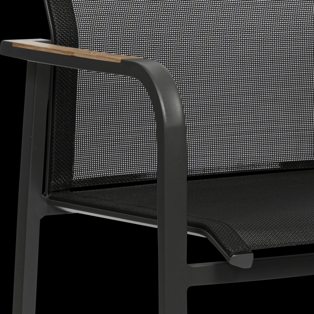 Outdoor Hollingshed Black Arm Chair, Set of 2 - Thumbnail - Image 6