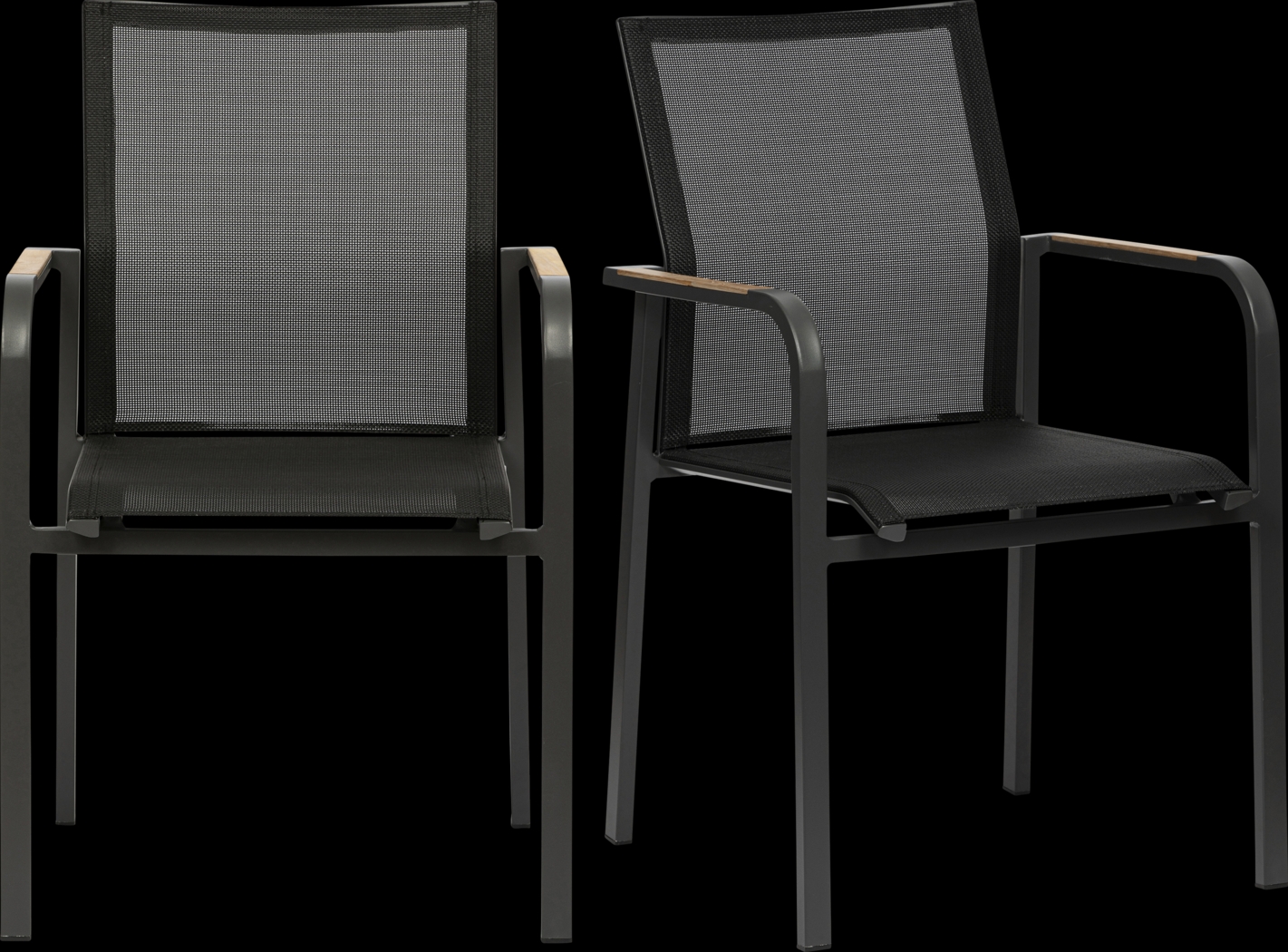 Outdoor Hollingshed Black Arm Chair, Set of 2 - Thumbnail - Image 1