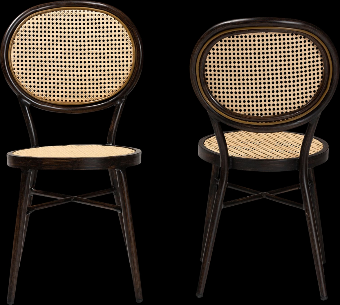 Outdoor Ivanel Brown Side Chair, Set of 2 - Thumbnail - Image 4