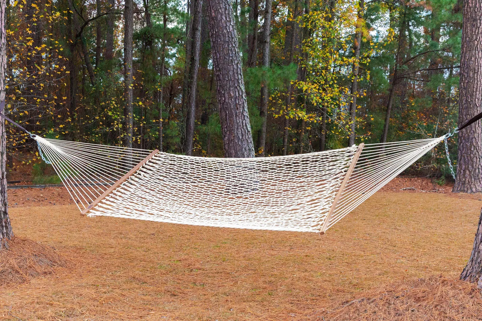 Outdoor Pandrosus Natural Hammock - Thumbnail - Image 2