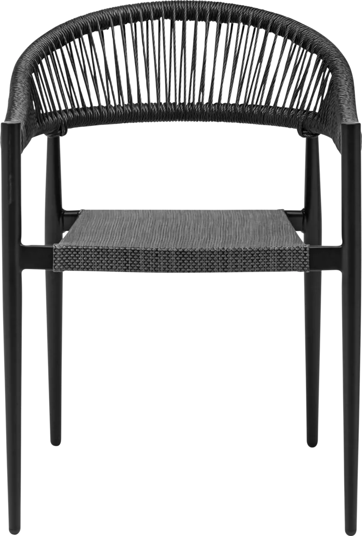 Outdoor Quadpaw Black Arm Chair, Set of 2 - Thumbnail - Image 2