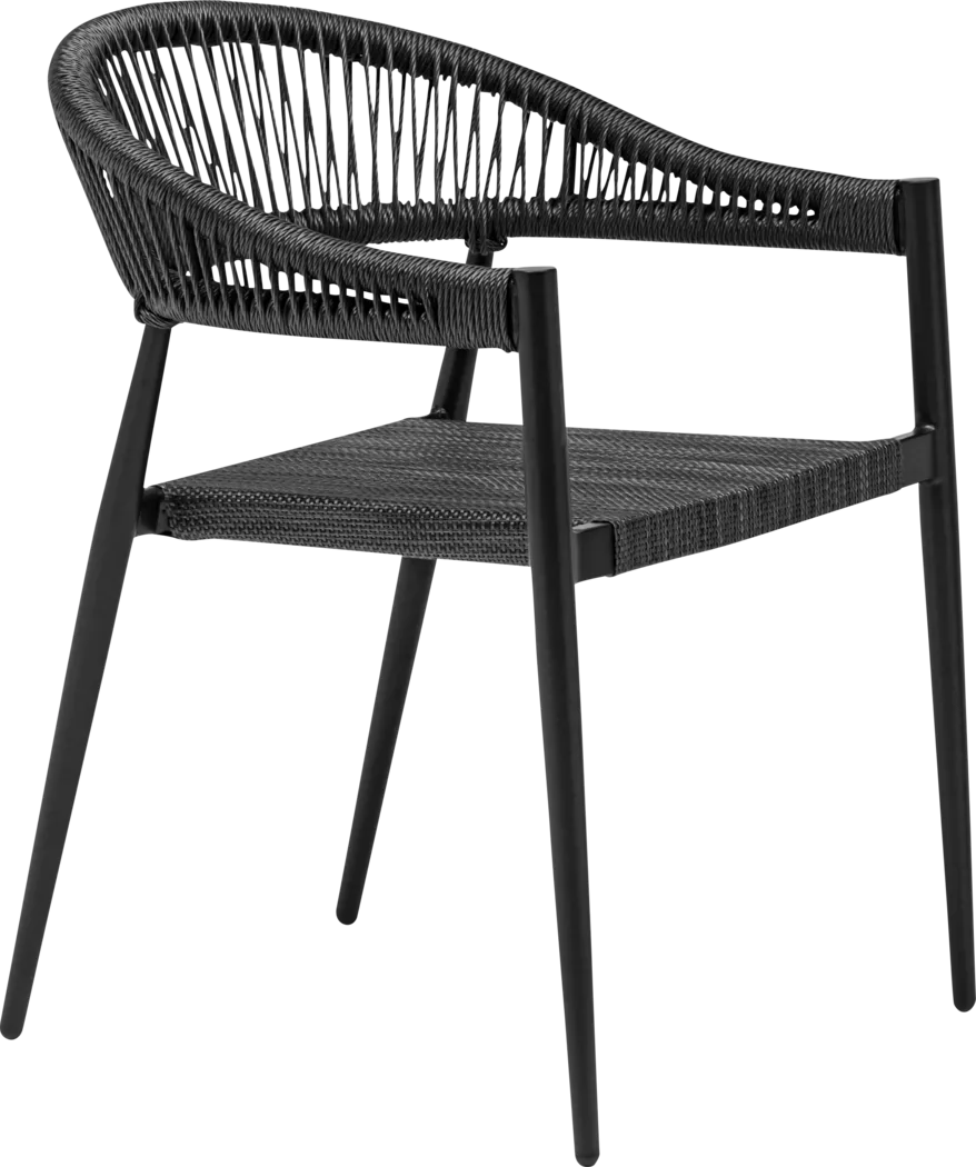 Outdoor Quadpaw Black Arm Chair, Set of 2 - Thumbnail - Image 3