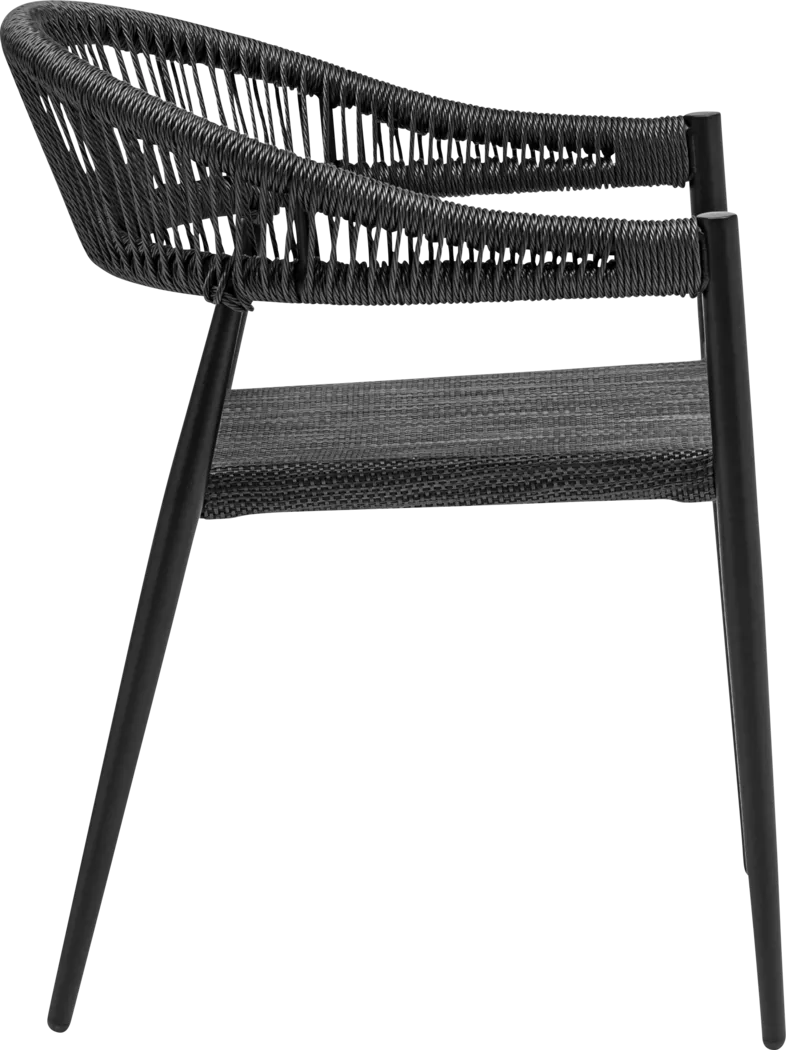 Outdoor Quadpaw Black Arm Chair, Set of 2 - Thumbnail - Image 4