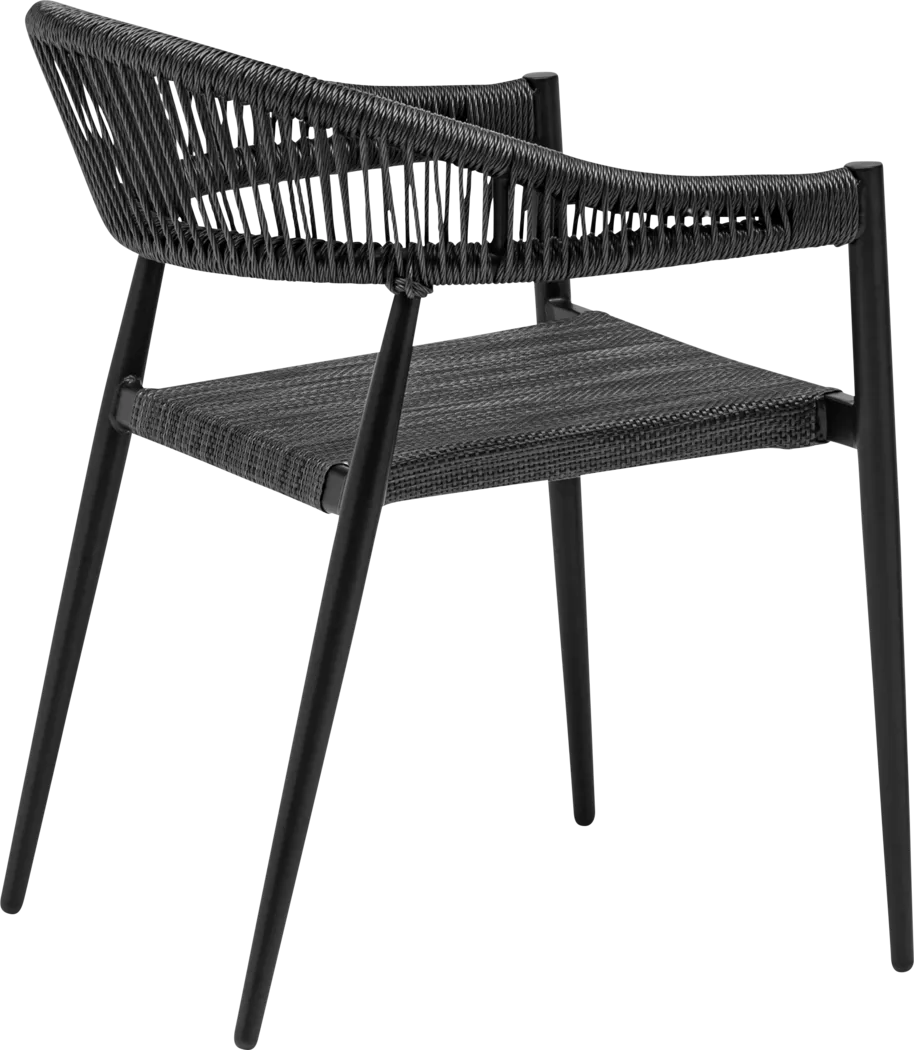 Outdoor Quadpaw Black Arm Chair, Set of 2 - Thumbnail - Image 5