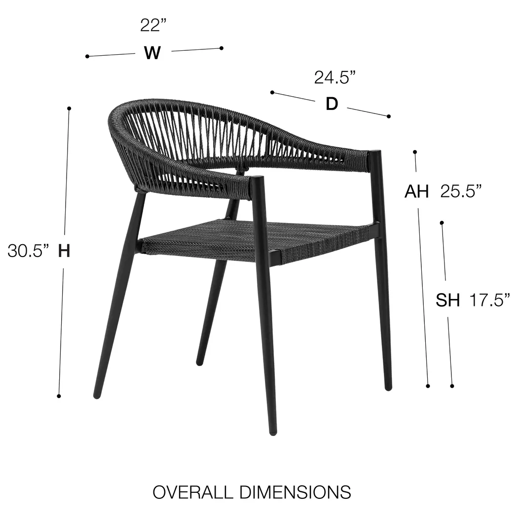 Outdoor Quadpaw Black Arm Chair, Set of 2 - Thumbnail - Image 8