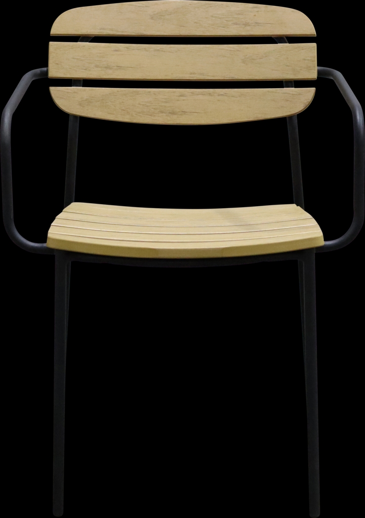 Outdoor Rufiny Brown Arm Chair, Set of 2 - Thumbnail - Image 2