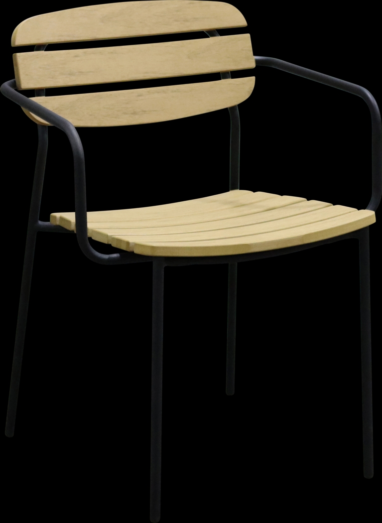 Outdoor Rufiny Brown Arm Chair, Set of 2 - Thumbnail - Image 3