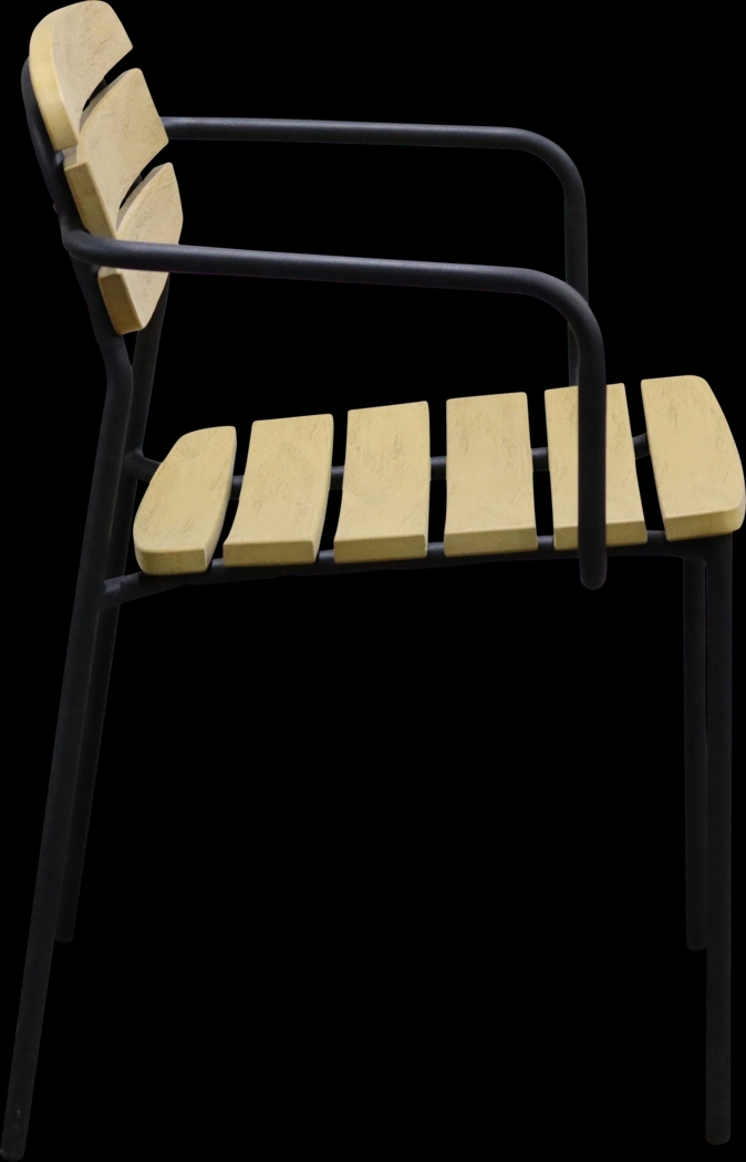 Outdoor Rufiny Brown Arm Chair, Set of 2 - Thumbnail - Image 4