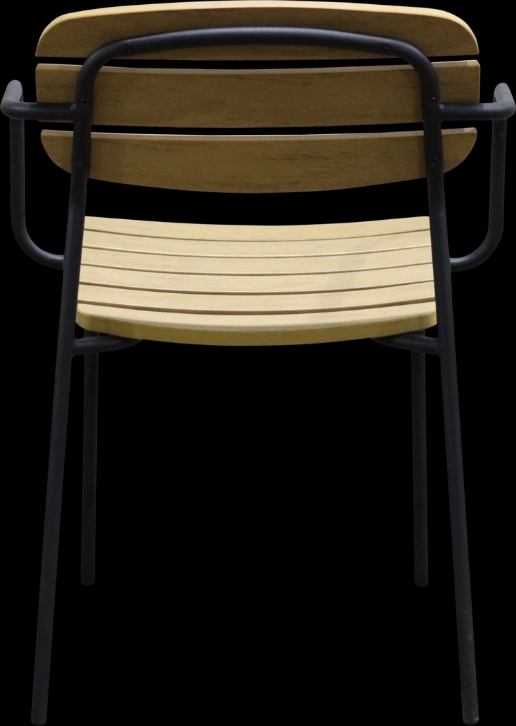 Outdoor Rufiny Brown Arm Chair, Set of 2 - Thumbnail - Image 6