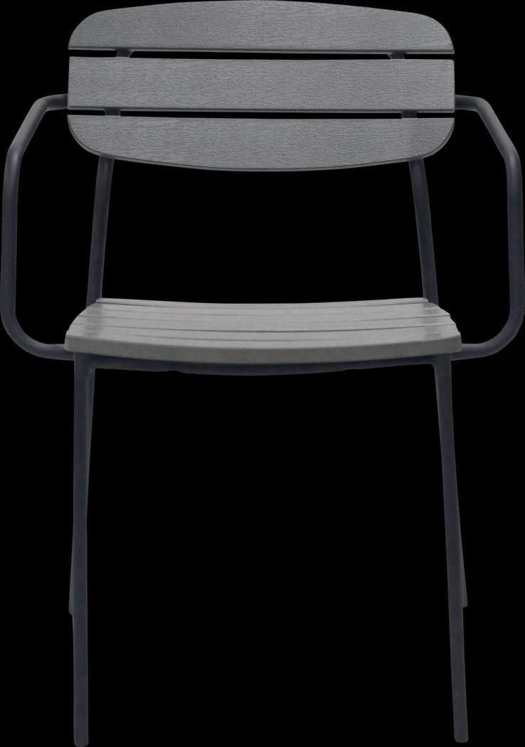 Outdoor Rufiny Dark Gray Arm Chair, Set of 2 - Thumbnail - Image 2