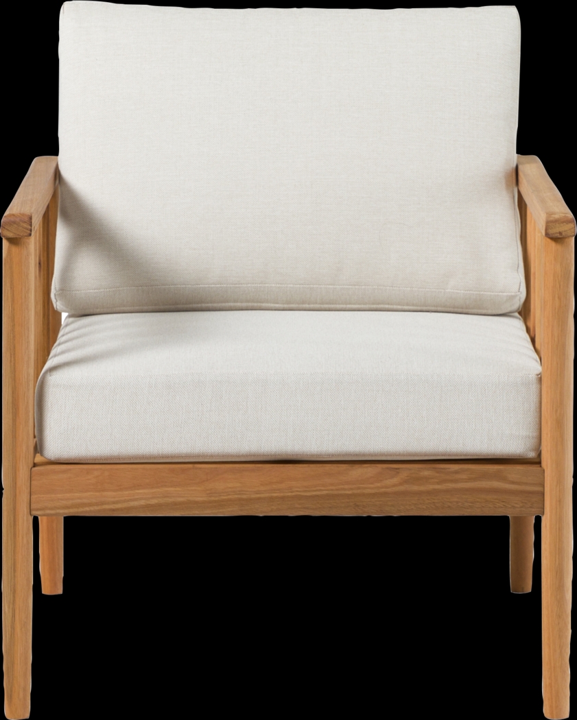 Outdoor Shellrich Coast Natural Accent Chair - Thumbnail - Image 4