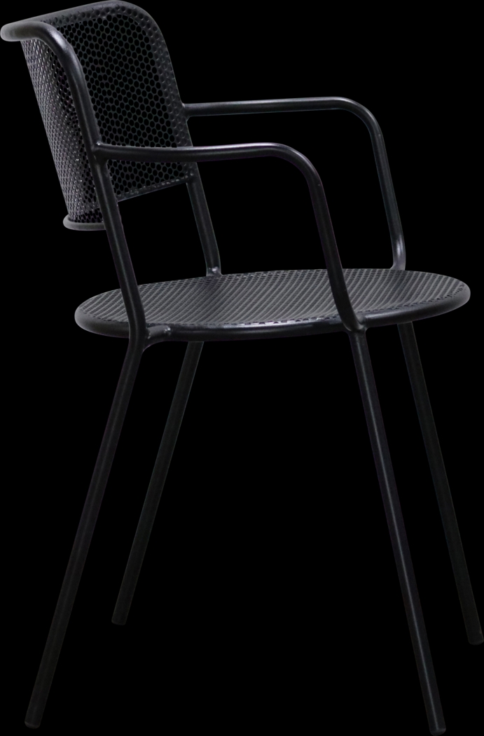 Outdoor Sherwoody Black Arm Chair, Set of 2 - Thumbnail - Image 4