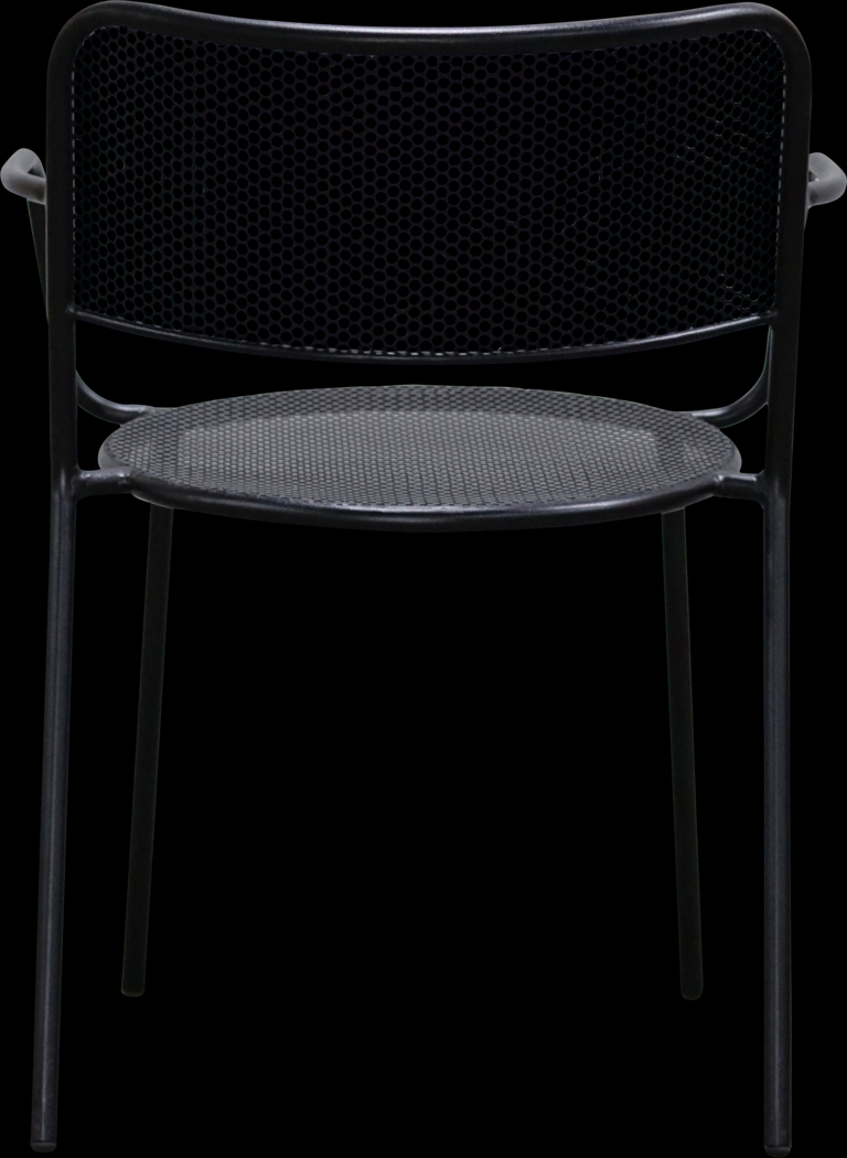 Outdoor Sherwoody Black Arm Chair, Set of 2 - Thumbnail - Image 6