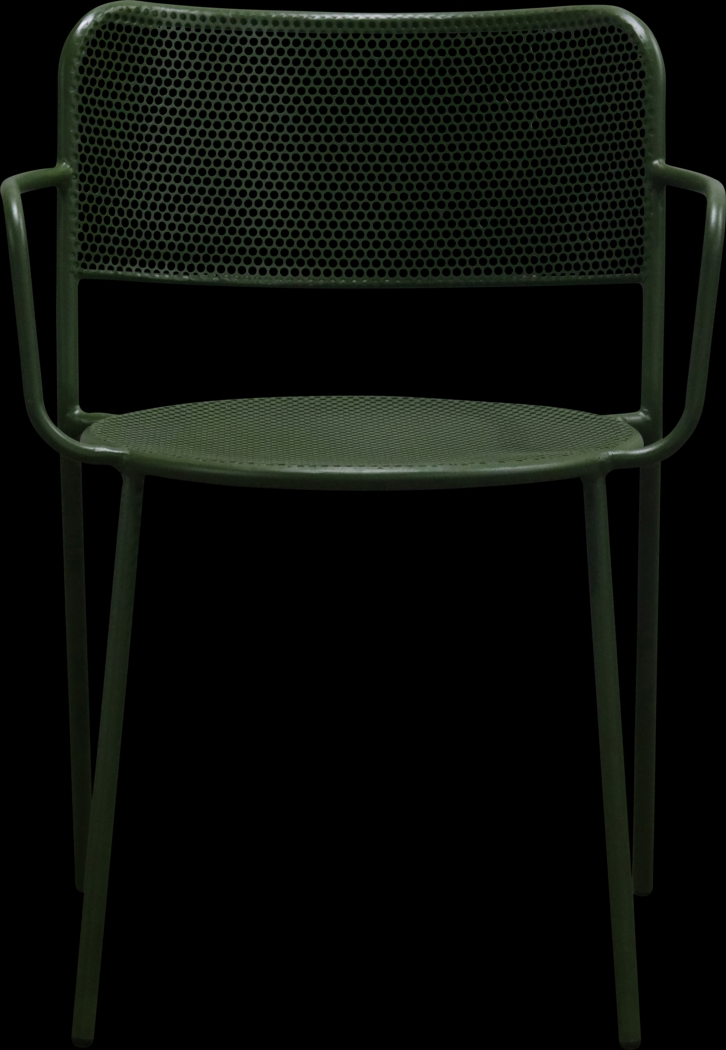 Outdoor Sherwoody Green Arm Chair, Set of 2 - Thumbnail - Image 3