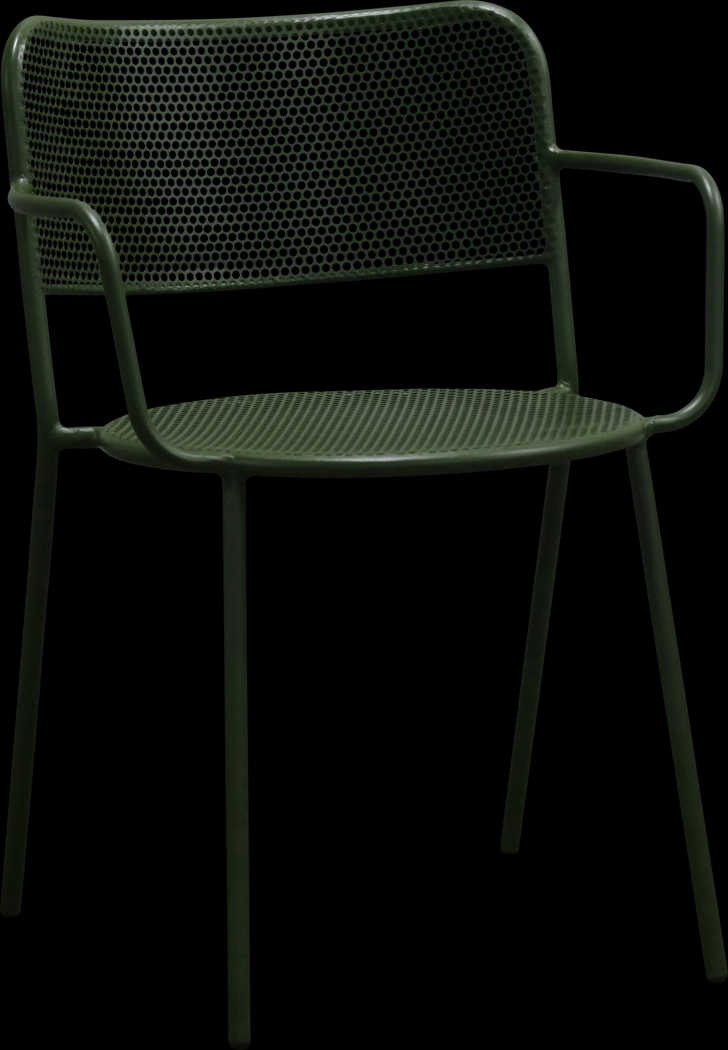 Outdoor Sherwoody Green Arm Chair, Set of 2 - Thumbnail - Image 4