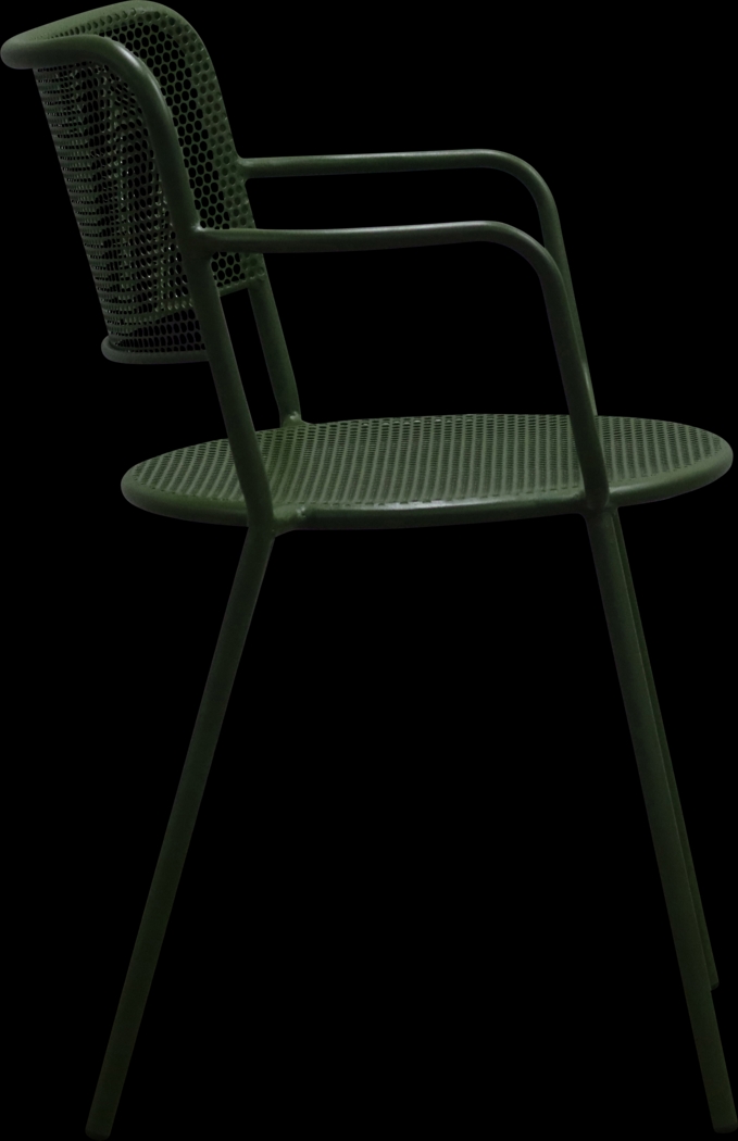 Outdoor Sherwoody Green Arm Chair, Set of 2 - Thumbnail - Image 5