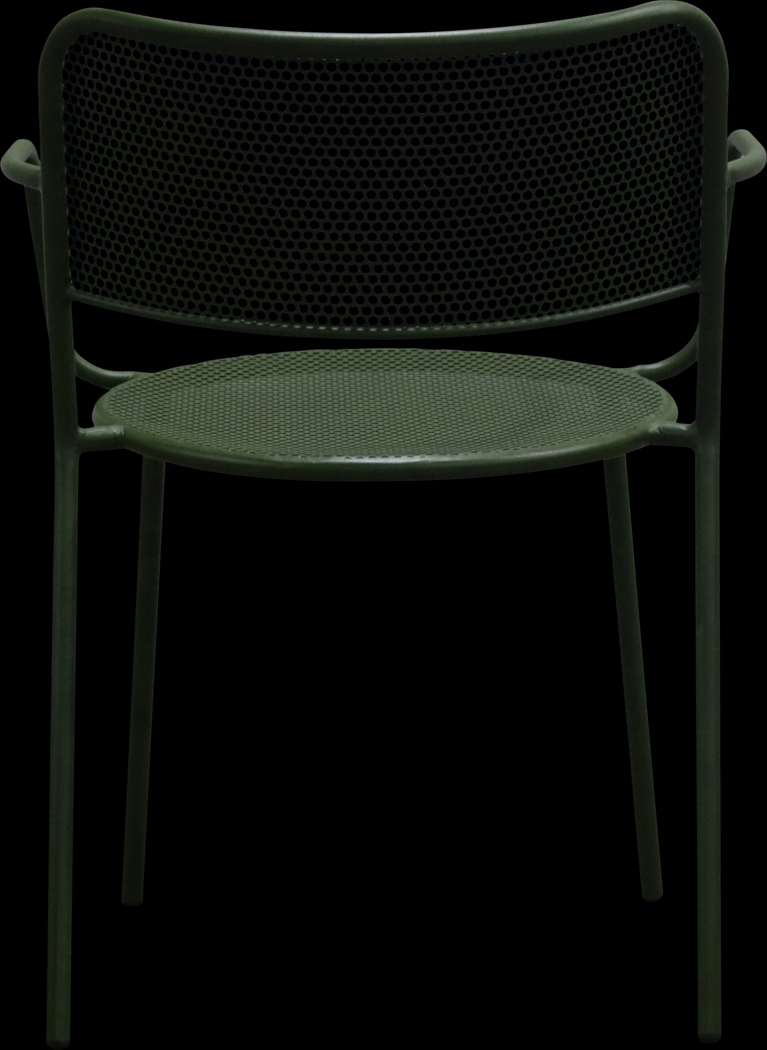 Outdoor Sherwoody Green Arm Chair, Set of 2 - Thumbnail - Image 7