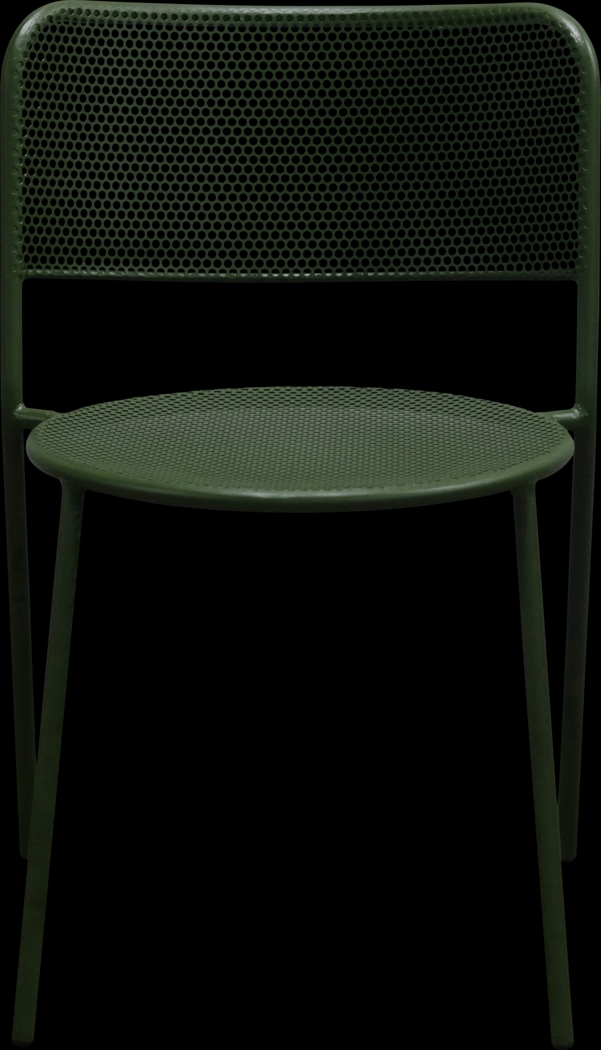 Outdoor Sherwoody Green Side Chair, Set of 2 - Thumbnail - Image 4