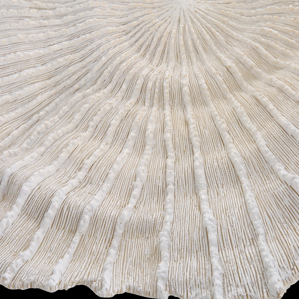 Pacha White Wall Decor, Set of 3 - Thumbnail - Image 7