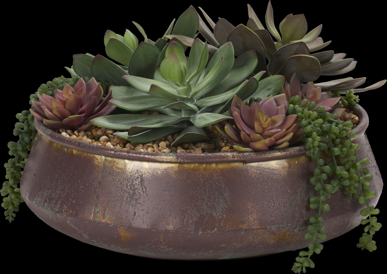 Paicines Copper Silk Plant - Thumbnail - Image 1