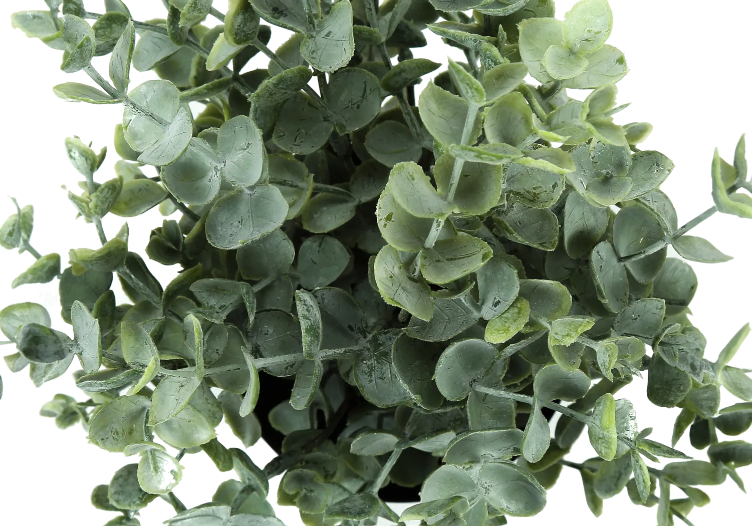 Paleotropic Green Artificial Eucalyptus Plant, Set of 2 - Image 5