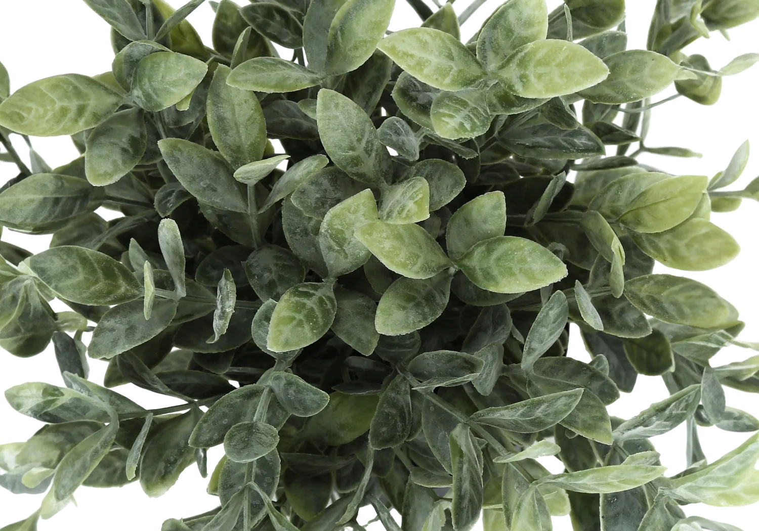 Paleotropic Green Artificial Eucalyptus Plant, Set of 2 - Image 6