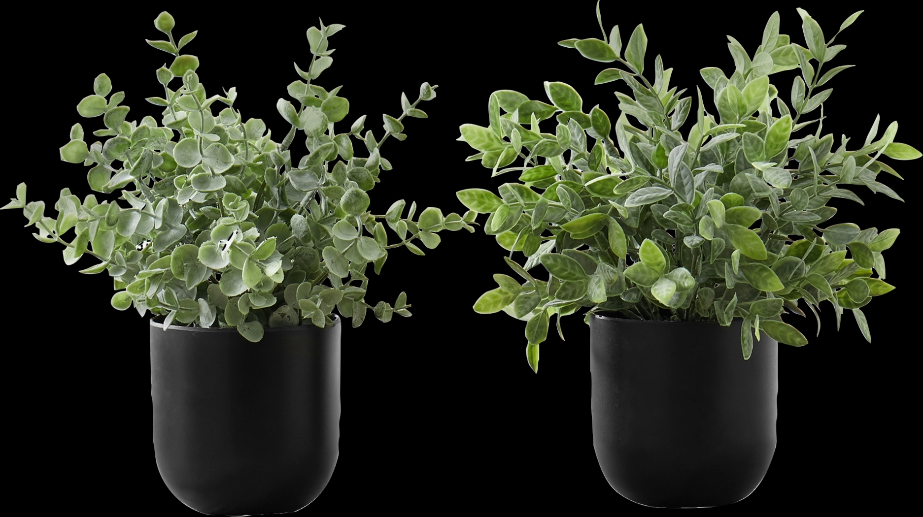 Paleotropic Green Artificial Eucalyptus Plant, Set of 2 - Thumbnail - Image 1