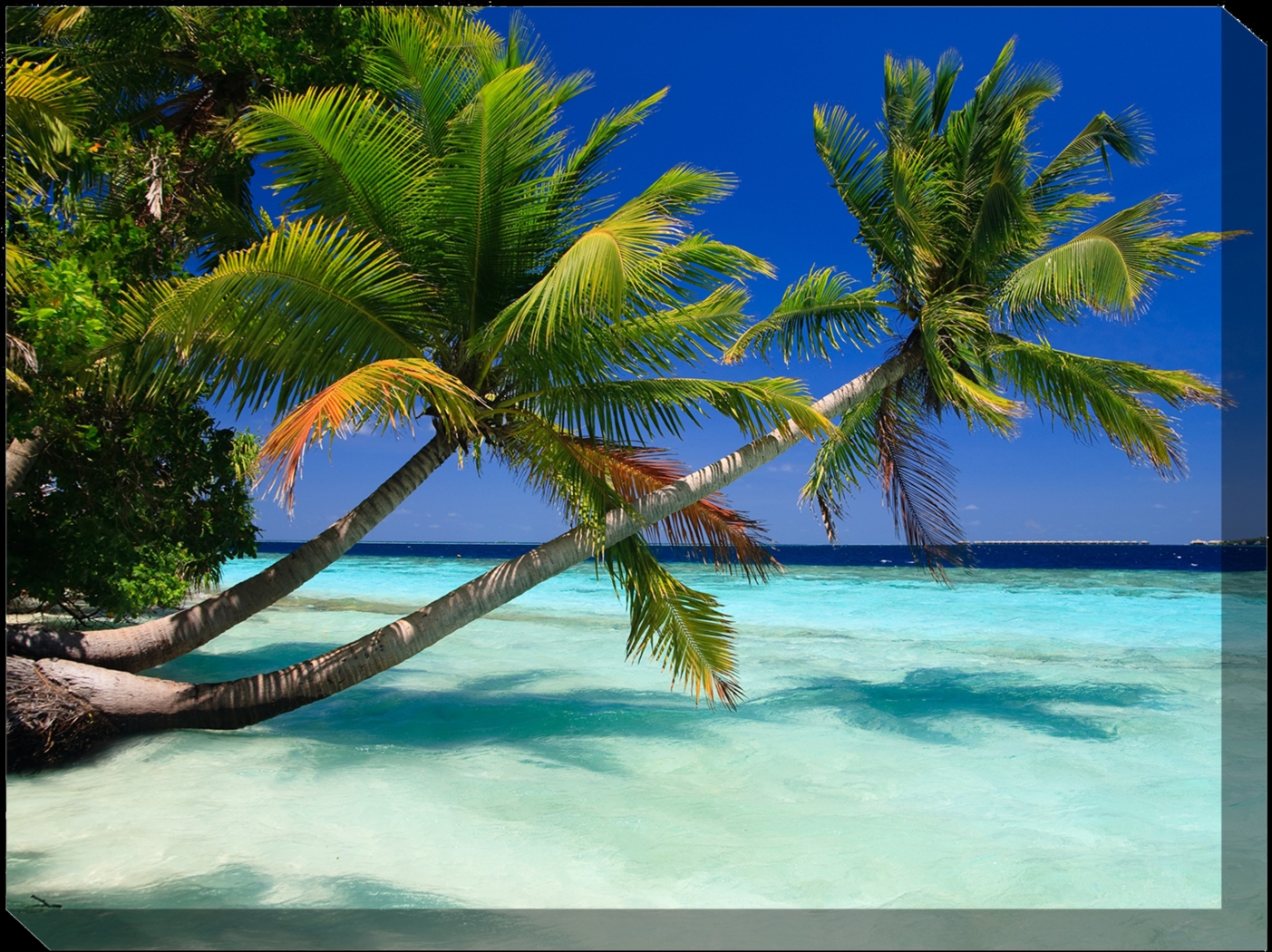 Palm Duo Outdoor/Indoor Wall Art - Thumbnail - Image 1