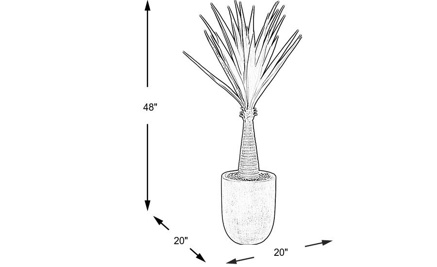 Dimension Image. Please refer to the Dimension Tab on this page for dimension details.