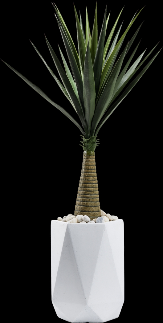 Palmdale Green 54 in. Artificial Sisal Tree in White Planter - Thumbnail - Image 1