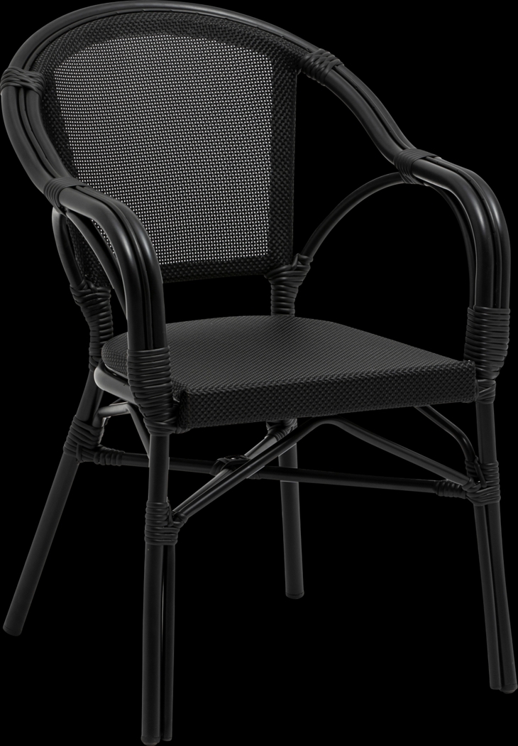 Palumbo I Black Arm Chair, Set of 2 - Thumbnail - Image 5